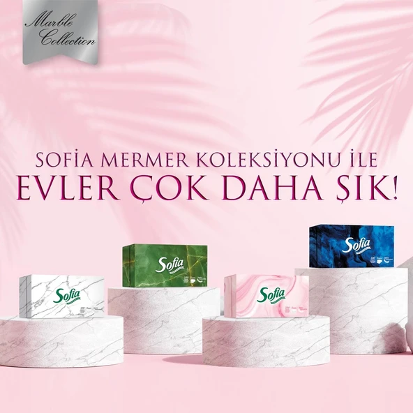 Sofia Kutu Mendil 100 Yaprak 24 Paket - 5