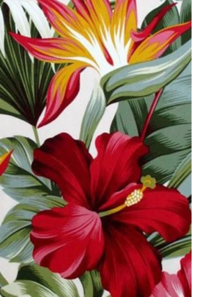 sizenelazım 60cm x 3m  Orkide  Balkon Bahçe Çit Brandası  Su İtici, UV Koruyucu, Dekoratif Örtü - Resim 3