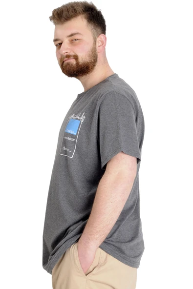 Mode XL Büyük Beden Erkek T-shirt ESTABLISMENT 23139 Antramelanj - Resim 2