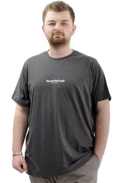 Mode XL Büyük Beden Baskılı Erkek T-Shirt Bisiklet Yaka VAN GOGH U24040 Antrasit ürün görseli