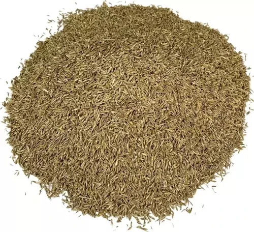 Grass Mixture 6 Karışımlı İthal Çim Tohumu 10 Kg - 2