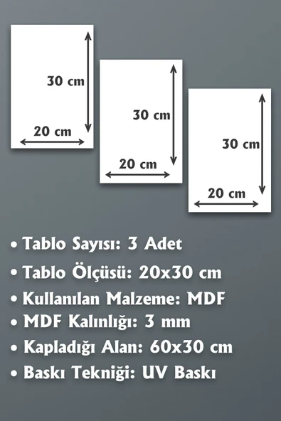 Çerçeve Baskılı Dekoratif 3lü Ahşap Tablo Seti 3mm Mdf 3 Adet 20x30 Cm - 5