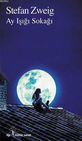 Ay Işığı Sokağı ürün görseli 1