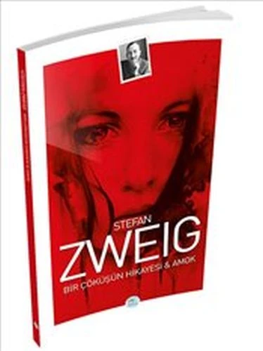 Bir Çöküşün Hikayesi ve Amok ürün görseli 1