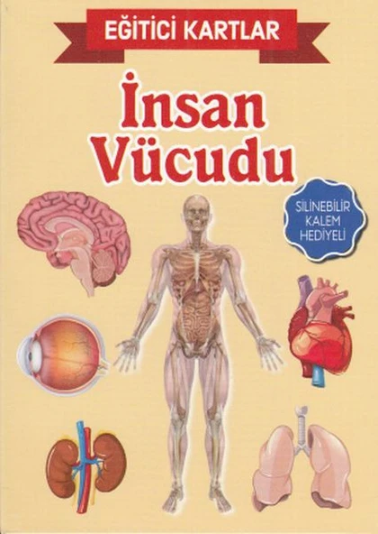 Eğitici Kartlar İnsan Vücudu ürün görseli 1