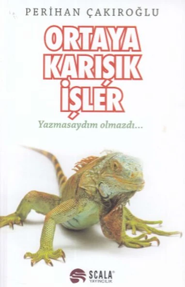 Ortaya Karışık İşler ürün görseli 1