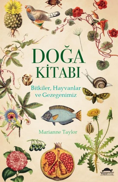 Doğa Kitabı - Bitkiler, Hayvanlar ve Gezegenimiz ürün görseli