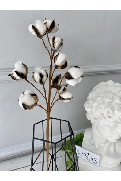 Doğal Pamuk Dalları 1 Dal 10lu Pamuklar Dekoratif Beyaz Yapay Çiçek Minimal Dekor - 3