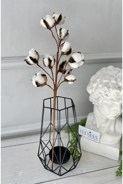 Doğal Pamuk Dalları 1 Dal 10lu Pamuklar Dekoratif Beyaz Yapay Çiçek Minimal Dekor - 2