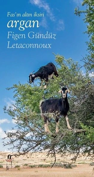 Fas’ın Altın İksiri Argan ürün görseli 1