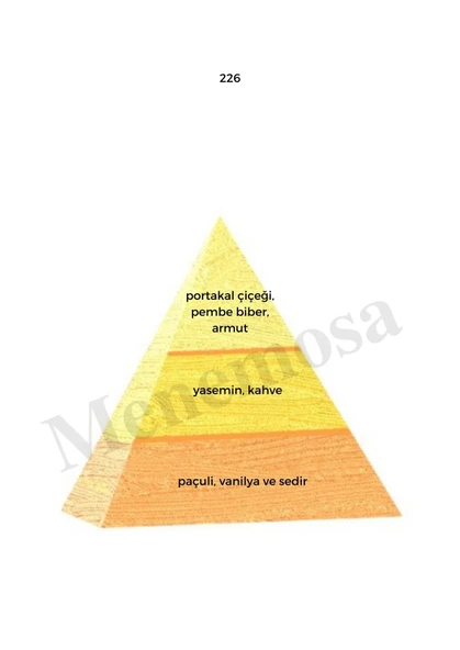 743 + 226 Erkek / Kadın Parfüm Edp Woody / Oriental - Mnms743226 - Resim 3