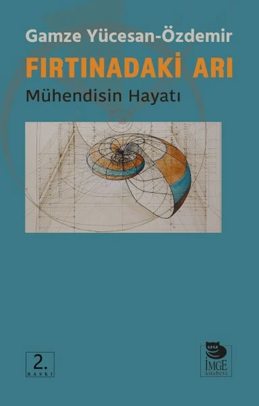 Fırtınadaki Arı - Mühendisin Hayatı ürün görseli 1