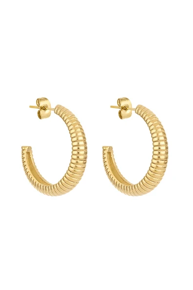 Daniel Klein Kadın Çelik Küpe DKJ.3.30008-2 ürün görseli