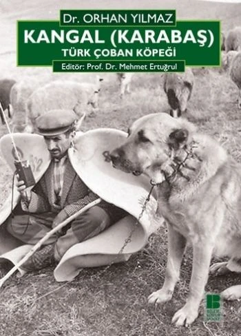 Kangal (Karabaş) Türk Çoban Köpeği ürün görseli 1