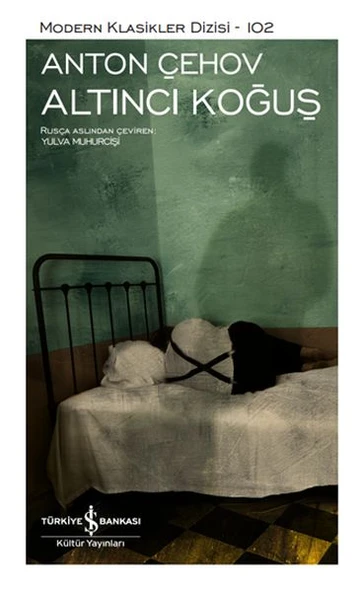 Altıncı Koğuş - Modern Klasikler Dizisi (Şömizli) ürün görseli 1