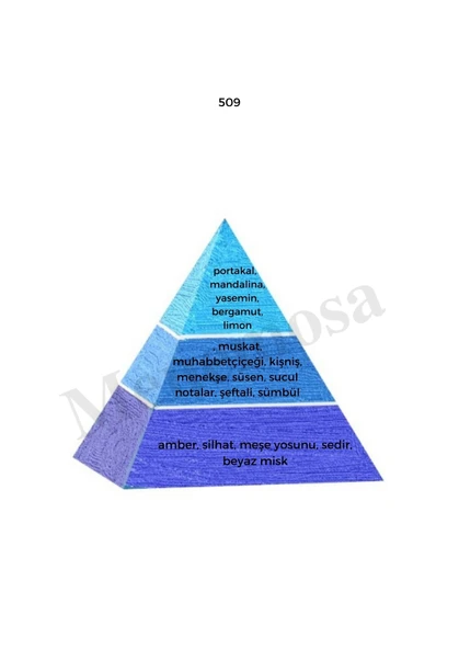 743 + 509 Erkek Parfüm Edp Woody / Fresh - Mnms743509 - Resim 3
