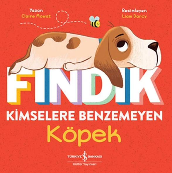 Fındık Kimselere Benzemeyen Köpek ürün görseli 1