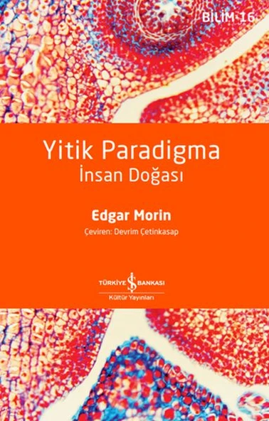 Yitik Paradigma: İnsan Doğası ürün görseli 1