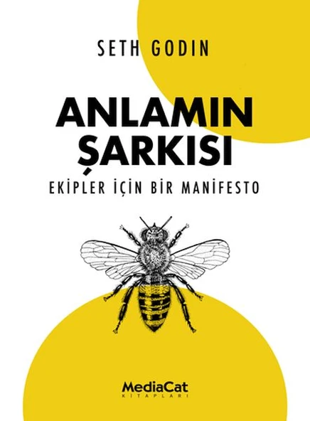 Anlamın Şarkısı ürün görseli 1