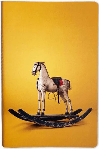 Nesin Defter - Sallanan At ürün görseli 1