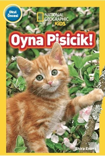 National Geographic Kids - Oyna Pisicik! ürün görseli 1