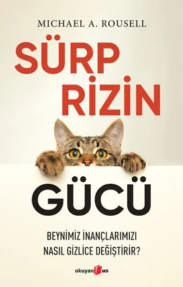 Sürprizin Gücü ürün görseli 1