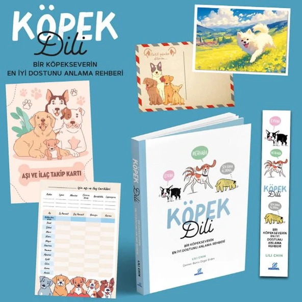 Köpek Dili - Bir Köpekseverin En İyi Dostunu Anlama Rehberi ürün görseli 1