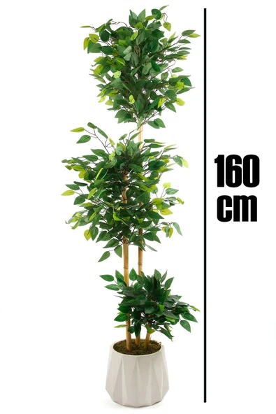Beton Saksıda El Yapımı Bambu Gövdeli Yapay Benjamin Ağacı - 5