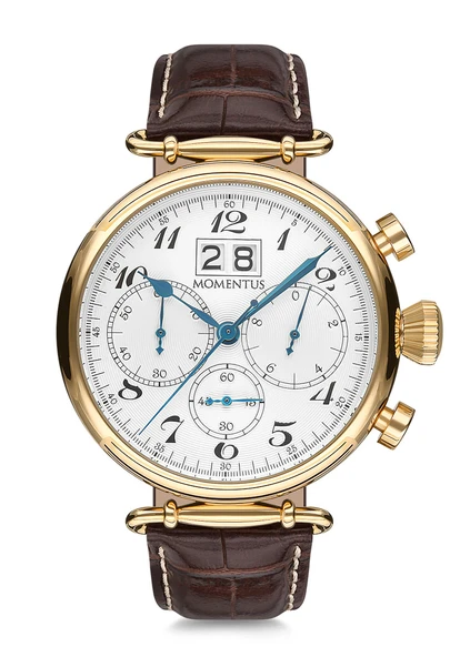 MOMENTUS TM250G-02KG Erkek Kol Saati ürün görseli