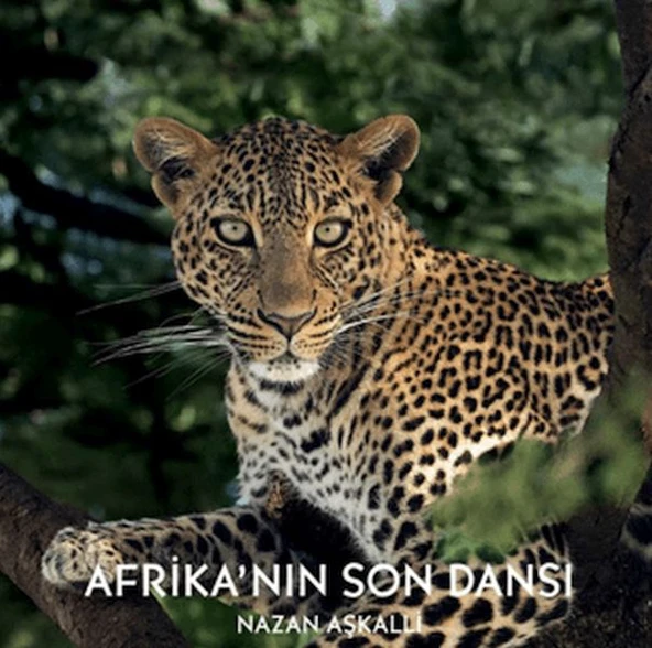 Afrika’nın Son Dansı ürün görseli 1