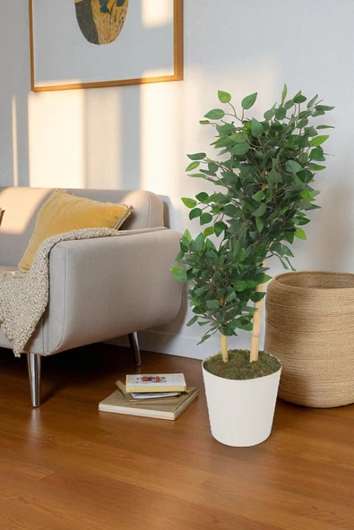 Yapay Ficus Benjamin Ağacı – Dolgun Yeşil Yapraklı, Ev ve Ofis Dekorasyonuna Uygun, Bambu Gövdeli - 2