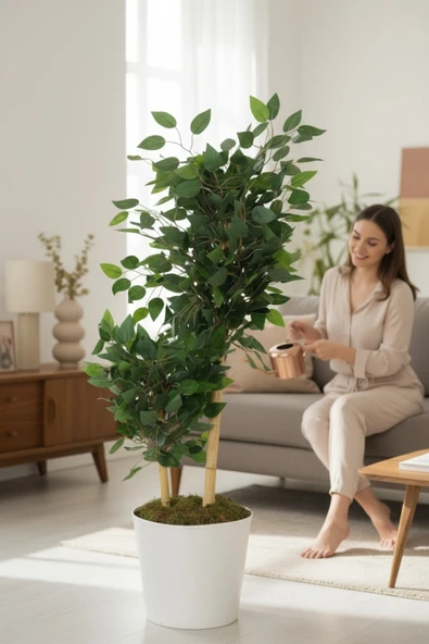 Yapay Ficus Benjamin Ağacı – Dolgun Yeşil Yapraklı, Ev ve Ofis Dekorasyonuna Uygun, Bambu Gövdeli - 1