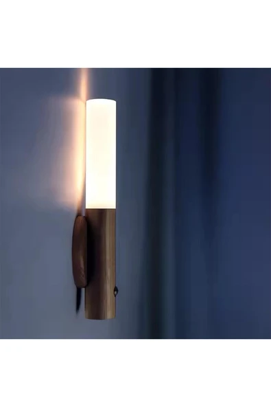 CT-5250 Kumru Şarjlı LED Duvar Aplik Günışığı - 2