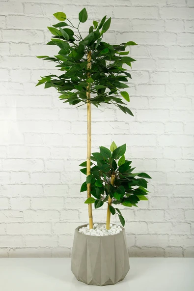 Yapay Çiçek Dekoratif Beton Saksıda Starlight Benjamin Ağacı Bambu Gövdeli Salon Ev Bitki 105 Cm - 5