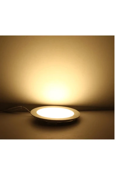 Slim Led Panel 15w Yuvarlak Alüminyum ct-5148g - Günışığı - Resim 4