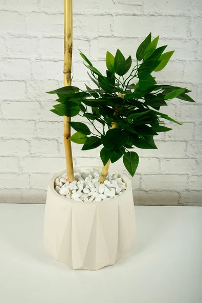 Yapay Çiçek Dekoratif Beton Saksıda Starlight Benjamin Ağacı Bambu Gövdeli Salon Ev Bitki 105 Cm - 10