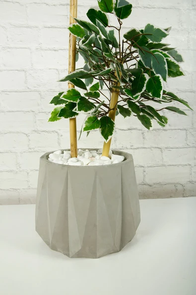 Yapay Çiçek Dekoratif Beton Saksıda Starlight Benjamin Ağacı Bambu Gövdeli Salon Ev Bitki 105 Cm - 3
