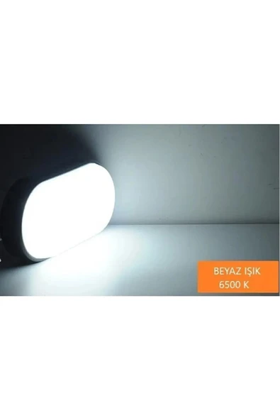 Ekim Aydınlatma Balkon ,teras,banyo,wc Oval Ledli Duvar Armatürü 15-20 Watt Beyaz Işık Siyah Kasa - 5