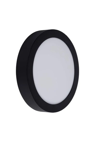 30 W Led Panel - Gün Işığı (3000K) - Siyah Kasa - Yuvarlak - Sıva Üstü - CT-5238G - 2