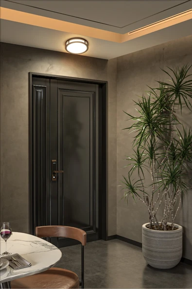 ekim aydınlatma Sıva Üstü 24 watt Led Armatür, Banyo, Balkon, Salon Tavan Ve Duvar Armatürü BEYAZ - 3
