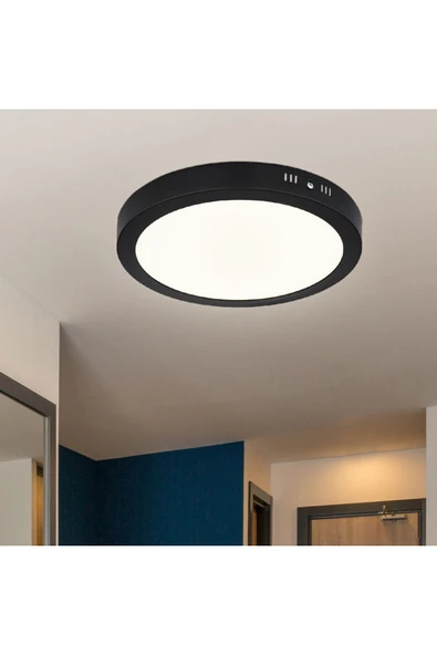 30 W Led Panel - Gün Işığı (3000K) - Siyah Kasa - Yuvarlak - Sıva Üstü - CT-5238G - 1