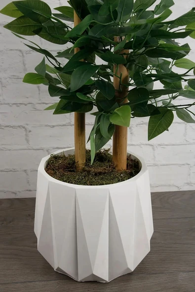 Dekoratif Beyaz Beton Saksı Kaktüs Sukulent Bambu Çiçek Saksısı 22 cm - 6