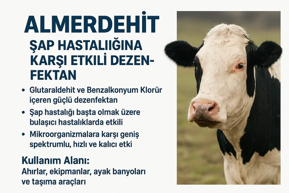 Almerdehit inek sığır koyun şap spreyi 200 ml - Resim 5