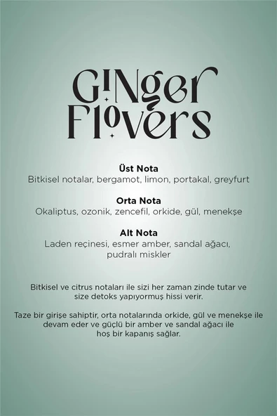 Carpex Micro Basic Siyah Koku Makinesi + 50 ml Ginger Flowers Kartuş - Resim 5