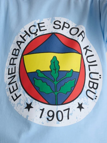 Fenerbahçe Orijinal Lisanslı Lazer Baskılı Renkli Logo Sıfır Yaka Çocuk T-Shirt - 5