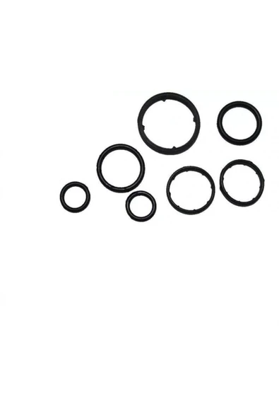 Chevrolet Cruze 1.6 Yağ Soğutucu Oring Seti 6 Parça ürün görseli