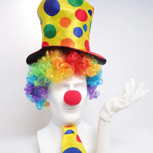 Renkli Palyaço Kostüm Seti - 5 Parça Aksesuar ürün görseli 1