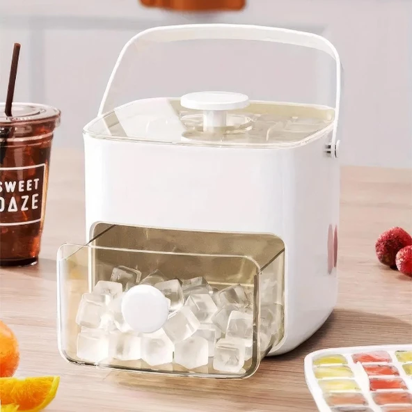 Buz Kalıp Ve Saklama Kutusu - Resim 4