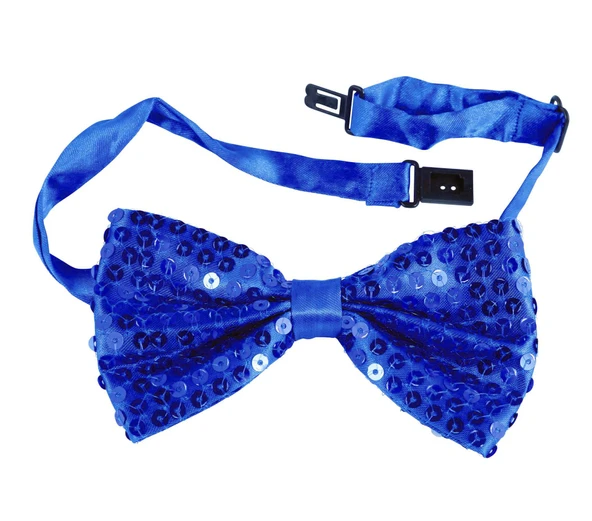 Mavi Payetli Pullu Papyon - Resim 2