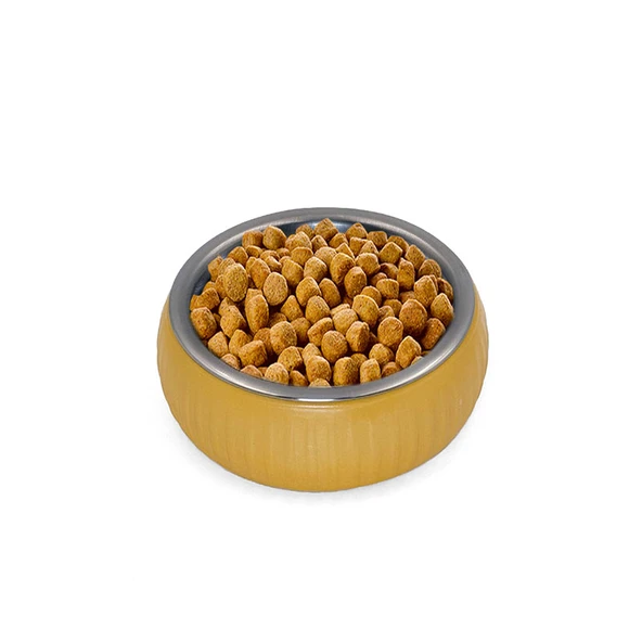 Mikopet Organik Seramik Mama Kabı Sarı - Resim 4